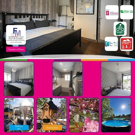 Apartament Chez Flo Et Marc Chouzy-sur-Cisse Zewnętrze zdjęcie