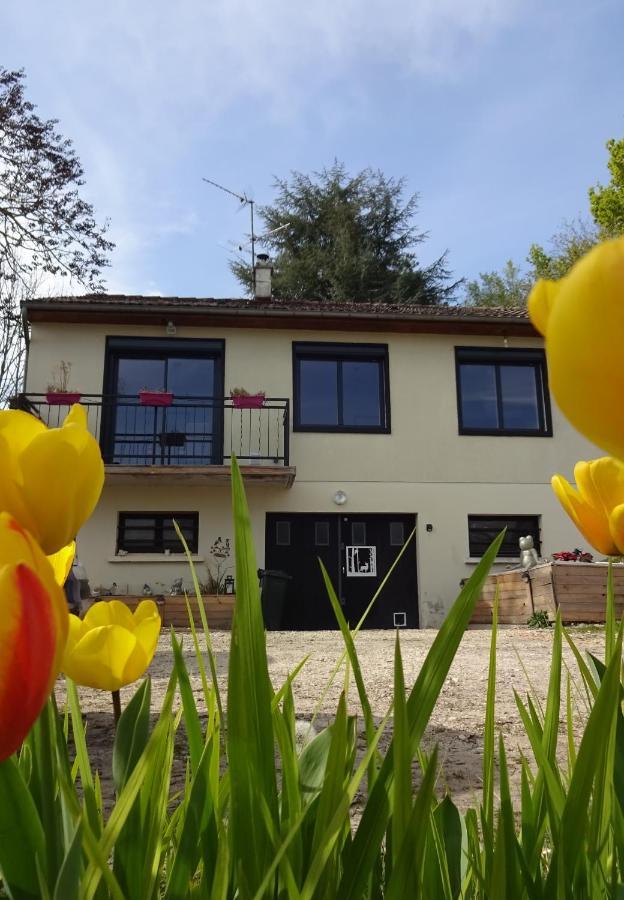 Apartament Chez Flo Et Marc Chouzy-sur-Cisse Zewnętrze zdjęcie
